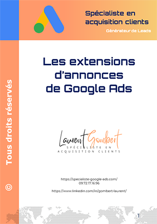 Les extensions d'annonces de Google Ads